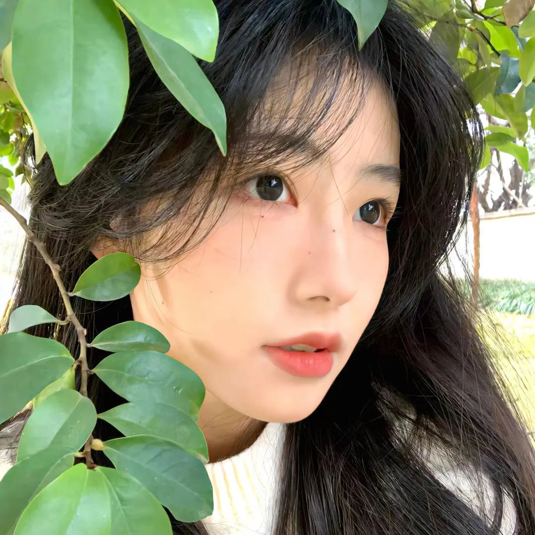 精神病姊妹花